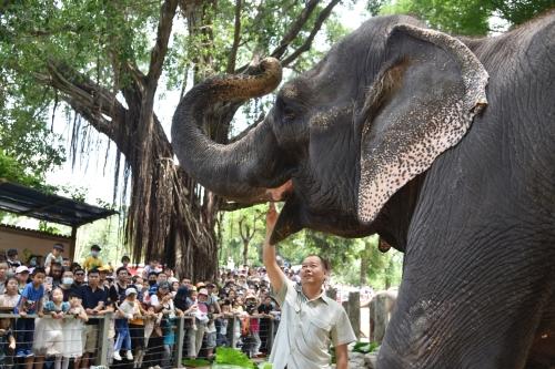 五一假期首日，深圳野生動(dòng)物園動(dòng)物科普講解吸引游客