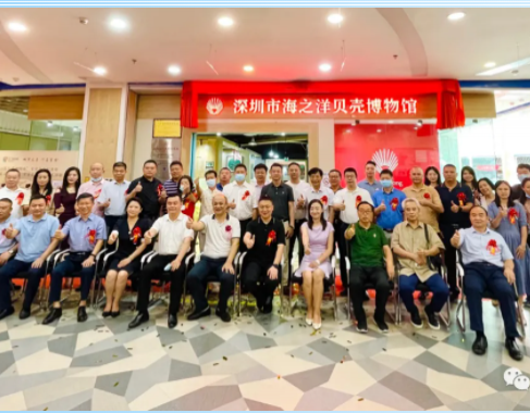 貝殼紅︱深圳市海之洋貝殼博物館揭牌儀式圓滿(mǎn)舉行！